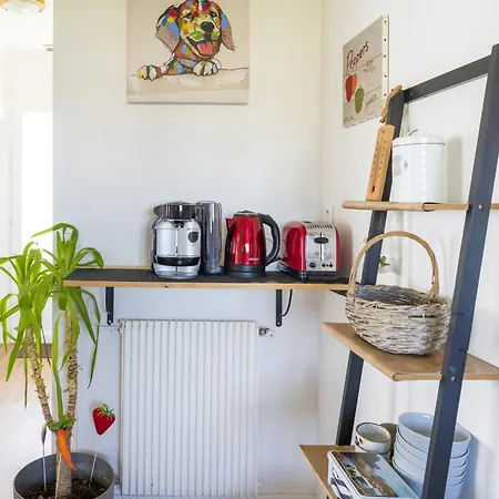 Petite Maison Domisiladore Yzosse